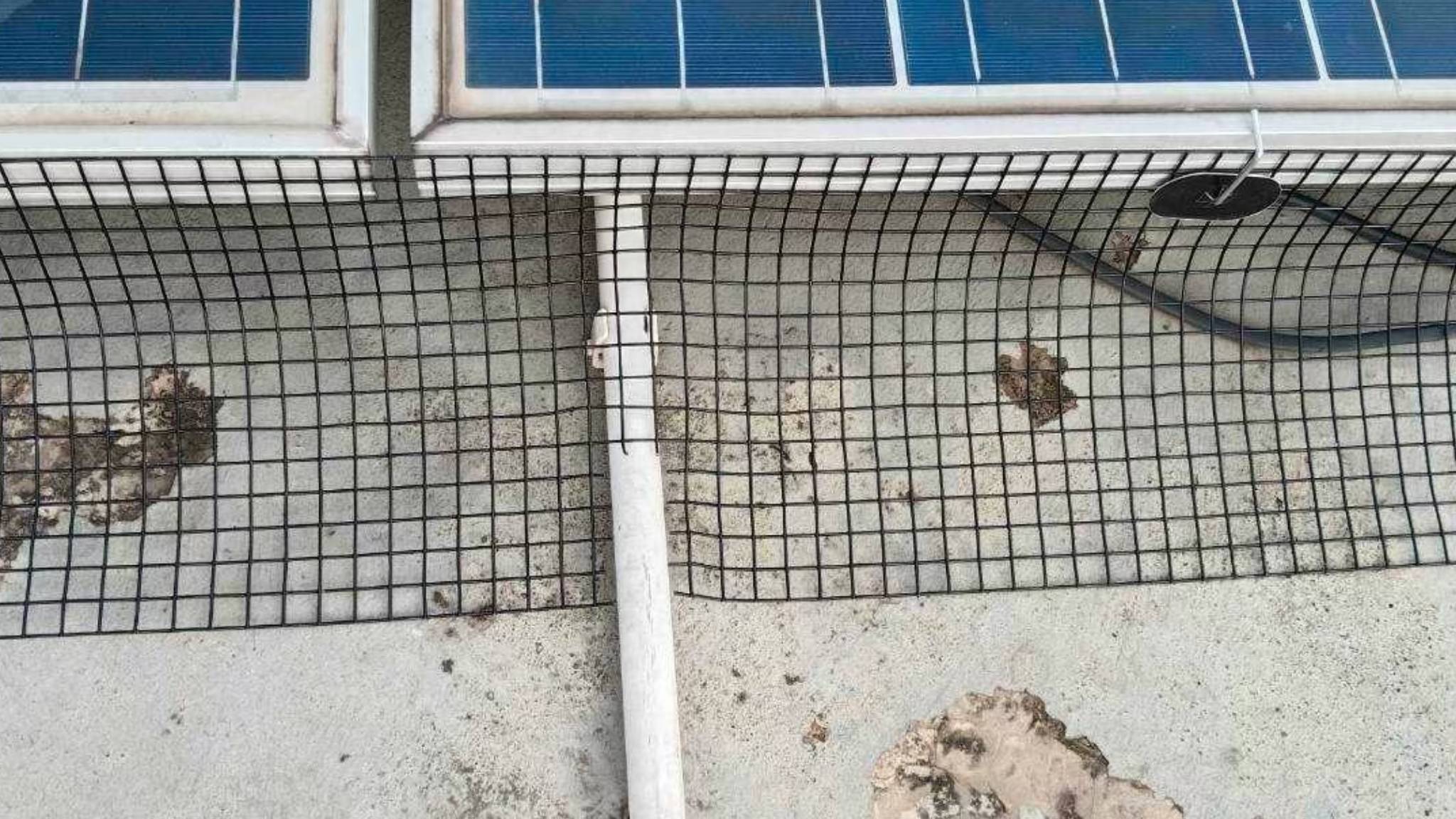 New Project (11).jpg